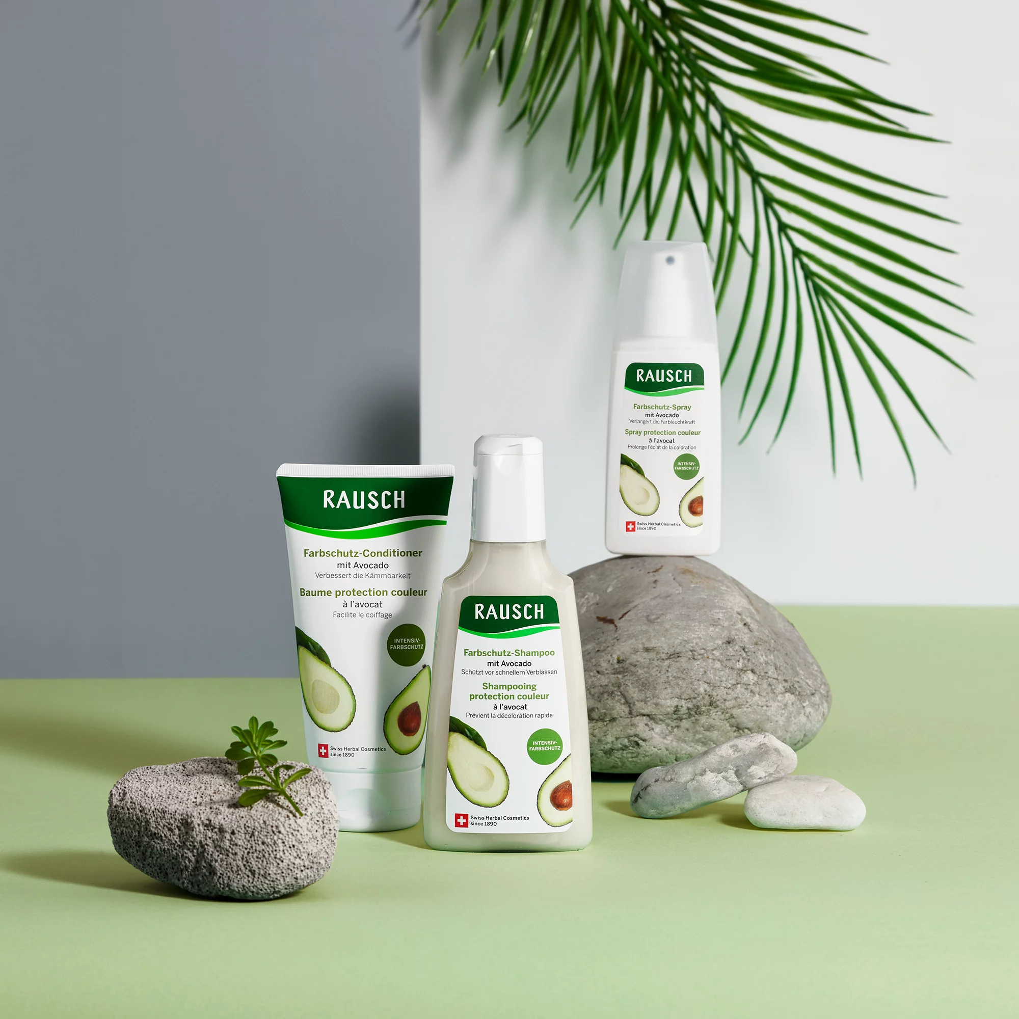 Rausch Avocado Color Protecting Rinse Conditioner 150ml - Image 4