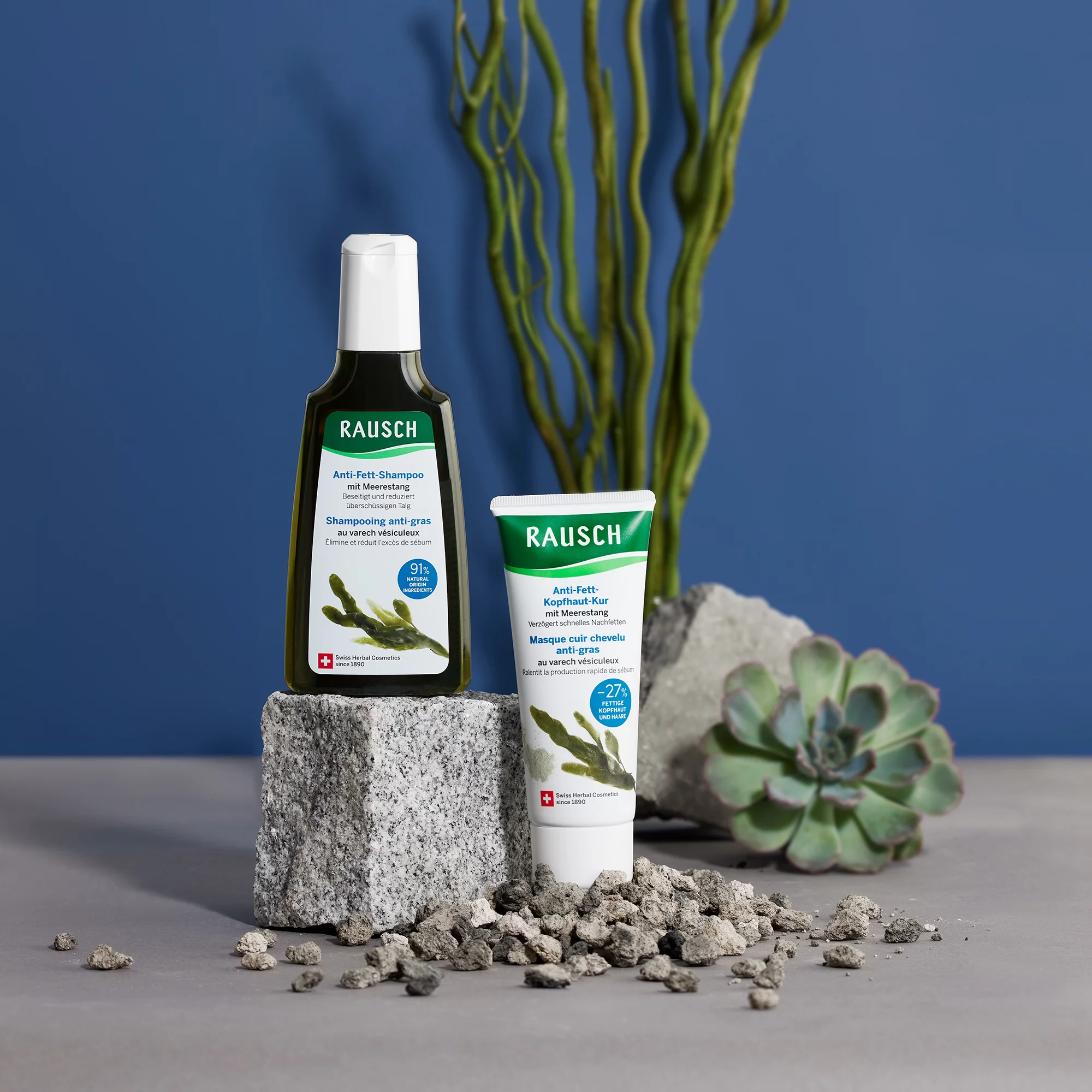 Rausch Seaweed Degreasing Shampoo For Greasy Hair 200ml - Image 4